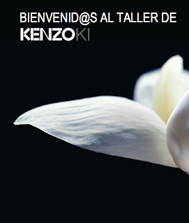 TALLER SENSORIAL KENZOKI (II)