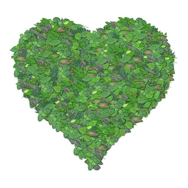 Corazón verde