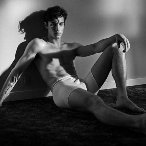 Shawn Mendes nos muestra su torso desnudo para Calvin Klein, por Ana Parrilla